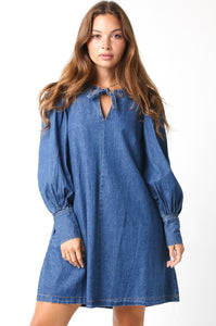 "Denim Darling" Cuff Sleeve Denim Dress