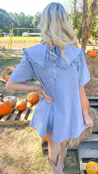 "While I'm Away" Collared Denim Mini Dress